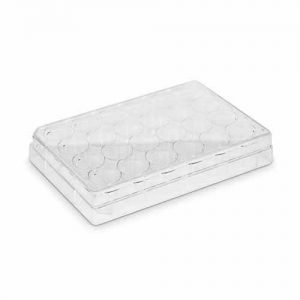 PLACA PARA CULTIVO DE CÉLULAS 24 POÇOS FUNDO CHATO. KASVI