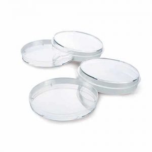 PLACA PARA CULTIVO DE CÉLULAS 35MM. 10 UN/PCT. KASVI