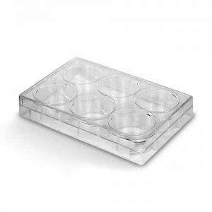 PLACA PARA CULTIVO DE CÉLULAS 6 POÇOS FUNDO CHATO. KASVI